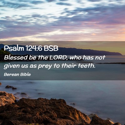 Picture 02 - Psalm 124:6 BSB - Blessed be the LORD, who has not given us as prey - Bible Verse Picture