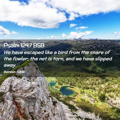Picture 02 - Psalm 124:7 BSB - We have escaped like a bird from the snare of the - Bible Verse Picture
