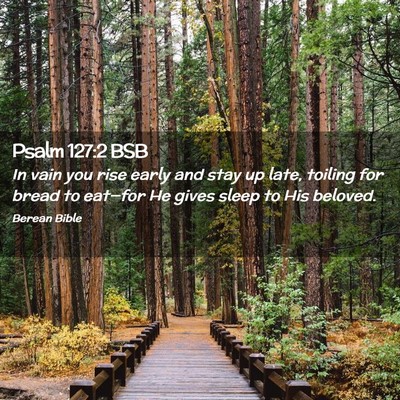 Picture 02 - Psalm 127:2 BSB - In vain you rise early and stay up late, toiling - Bible Verse Picture