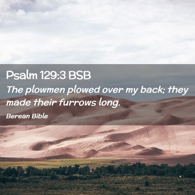 Picture 02 - Psalm 129:3 BSB - The plowmen plowed over my back; they made their - Bible Verse Picture