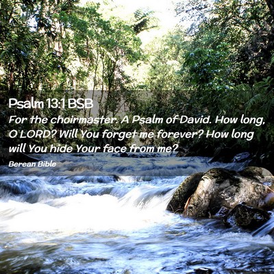 Picture 02 - Psalm 13:1 BSB - For the choirmaster. A Psalm of David. How long, - Bible Verse Picture