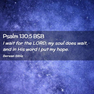 Picture 02 - Psalm 130:5 BSB - I wait for the LORD; my soul does wait, and in - Bible Verse Picture