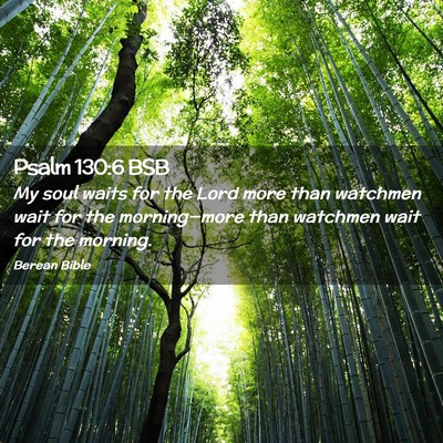 Picture 02 - Psalm 130:6 BSB - My soul waits for the Lord more than watchmen - Bible Verse Picture