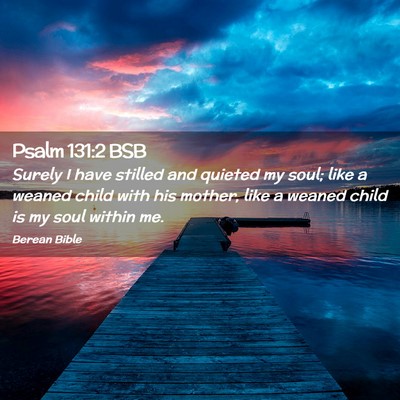 Picture 02 - Psalm 131:2 BSB - Surely I have stilled and quieted my soul; like a - Bible Verse Picture
