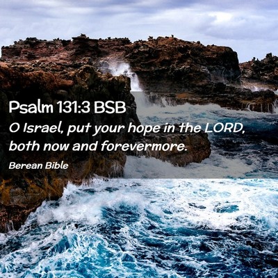 Picture 02 - Psalm 131:3 BSB - O Israel, put your hope in the LORD, both now and - Bible Verse Picture