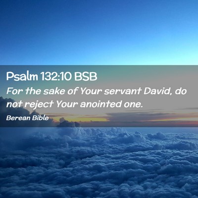 Picture 02 - Psalm 132:10 BSB - For the sake of Your servant David, do not reject - Bible Verse Picture