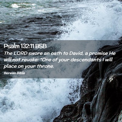 Picture 02 - Psalm 132:11 BSB - The LORD swore an oath to David, a promise He - Bible Verse Picture