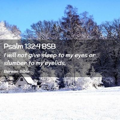 Picture 02 - Psalm 132:4 BSB - I will not give sleep to my eyes or slumber to my - Bible Verse Picture