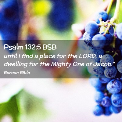 Picture 02 - Psalm 132:5 BSB - until I find a place for the LORD, a dwelling for - Bible Verse Picture