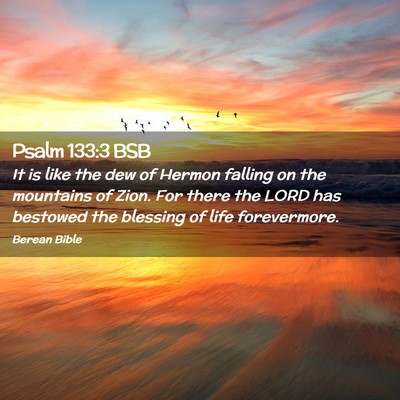 Picture 02 - Psalm 133:3 BSB - It is like the dew of Hermon falling on the - Bible Verse Picture