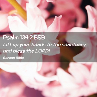 Picture 02 - Psalm 134:2 BSB - Lift up your hands to the sanctuary and bless the - Bible Verse Picture