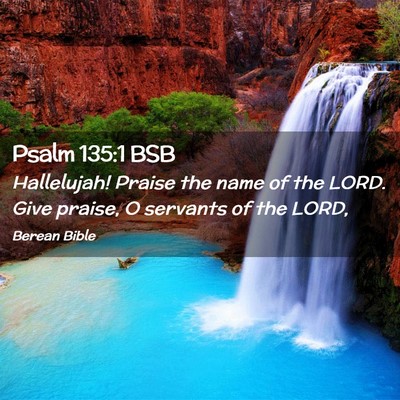 Picture 02 - Psalm 135:1 BSB - Hallelujah! Praise the name of the LORD. Give - Bible Verse Picture