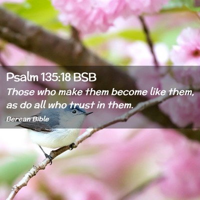 Picture 02 - Psalm 135:18 BSB - Those who make them become like them, as do all - Bible Verse Picture