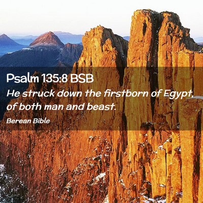 Picture 02 - Psalm 135:8 BSB - He struck down the firstborn of Egypt, of both - Bible Verse Picture