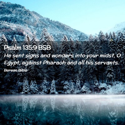 Picture 02 - Psalm 135:9 BSB - He sent signs and wonders into your midst, O - Bible Verse Picture