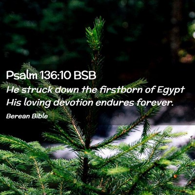 Picture 02 - Psalm 136:10 BSB - He struck down the firstborn of Egypt His loving - Bible Verse Picture