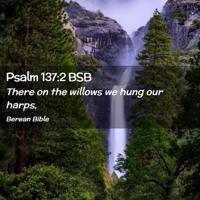 Picture 02 - Psalm 137:2 BSB - There on the willows we hung our - Bible Verse Picture