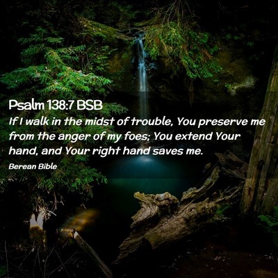 Picture 02 - Psalm 138:7 BSB - If I walk in the midst of trouble, You preserve - Bible Verse Picture