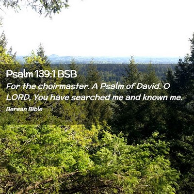 Picture 02 - Psalm 139:1 BSB - For the choirmaster. A Psalm of David. O LORD, - Bible Verse Picture