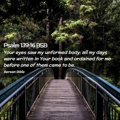 Picture 02 - Psalm 139:16 BSB - Your eyes saw my unformed body; all my days were - Bible Verse Picture
