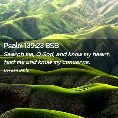 Picture 02 - Psalm 139:23 BSB - Search me, O God, and know my heart; test me and - Bible Verse Picture