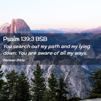 Picture 02 - Psalm 139:3 BSB - You search out my path and my lying down; You are - Bible Verse Picture