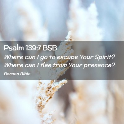 Picture 02 - Psalm 139:7 BSB - Where can I go to escape Your Spirit? Where can I - Bible Verse Picture