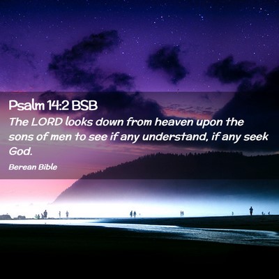 Picture 02 - Psalm 14:2 BSB - The LORD looks down from heaven upon the sons of - Bible Verse Picture