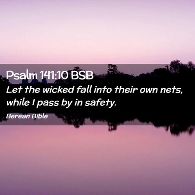 Picture 02 - Psalm 141:10 BSB - Let the wicked fall into their own nets, while I - Bible Verse Picture