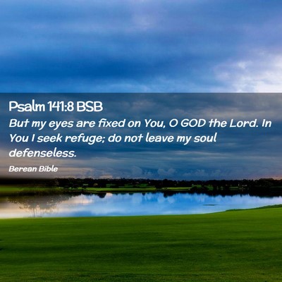 Picture 02 - Psalm 141:8 BSB - But my eyes are fixed on You, O GOD the Lord. In - Bible Verse Picture