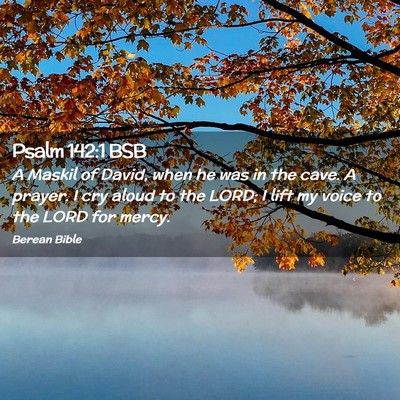 Picture 02 - Psalm 142:1 BSB - A Maskil of David, when he was in the cave. A - Bible Verse Picture