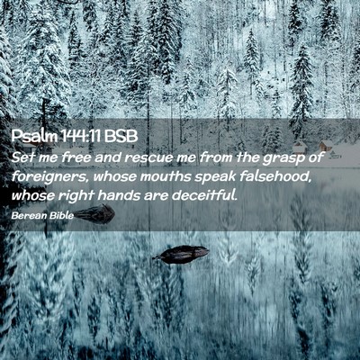 Picture 02 - Psalm 144:11 BSB - Set me free and rescue me from the grasp of - Bible Verse Picture