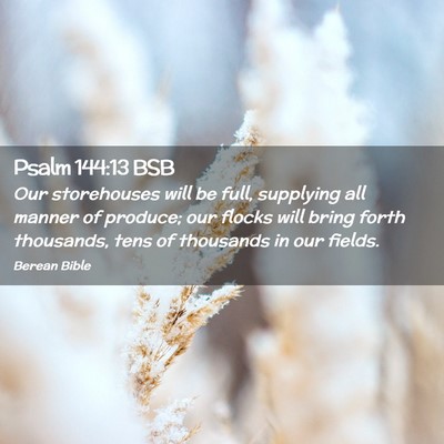 Picture 02 - Psalm 144:13 BSB - Our storehouses will be full, supplying all - Bible Verse Picture