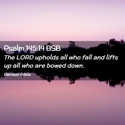 Picture 02 - Psalm 145:14 BSB - The LORD upholds all who fall and lifts up all - Bible Verse Picture