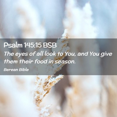 Picture 02 - Psalm 145:15 BSB - The eyes of all look to You, and You give them - Bible Verse Picture