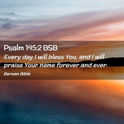 Picture 02 - Psalm 145:2 BSB - Every day I will bless You, and I will praise - Bible Verse Picture