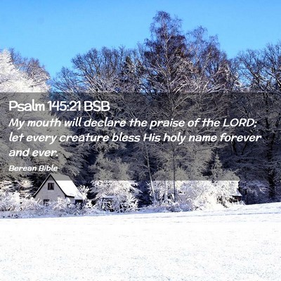 Picture 02 - Psalm 145:21 BSB - My mouth will declare the praise of the LORD; let - Bible Verse Picture