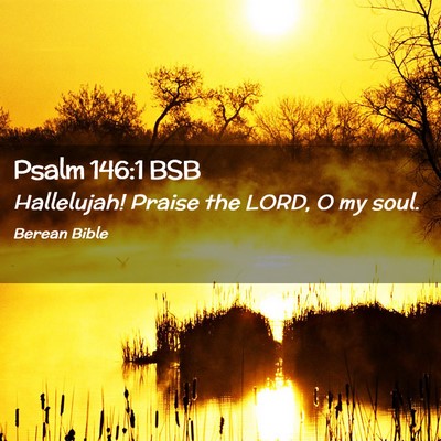 Picture 02 - Psalm 146:1 BSB - Hallelujah! Praise the LORD, O my - Bible Verse Picture