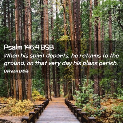 Picture 02 - Psalm 146:4 BSB - When his spirit departs, he returns to the - Bible Verse Picture