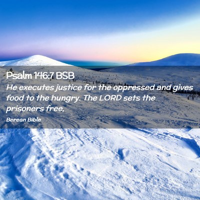 Picture 02 - Psalm 146:7 BSB - He executes justice for the oppressed and gives - Bible Verse Picture