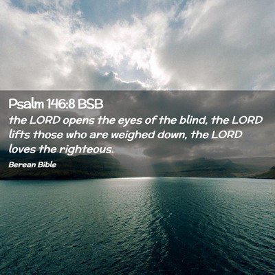 Picture 02 - Psalm 146:8 BSB - the LORD opens the eyes of the blind, the LORD - Bible Verse Picture