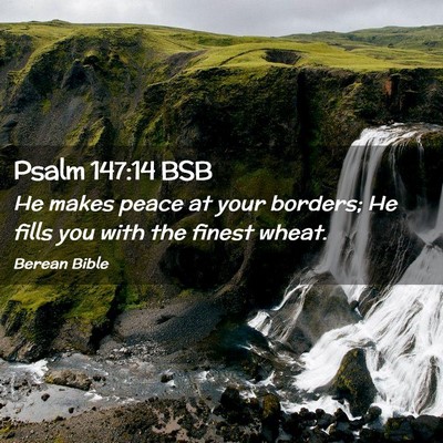 Picture 02 - Psalm 147:14 BSB - He makes peace at your borders; He fills you with - Bible Verse Picture