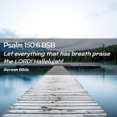 Picture 02 - Psalm 150:6 BSB - Let everything that has breath praise the LORD! - Bible Verse Picture