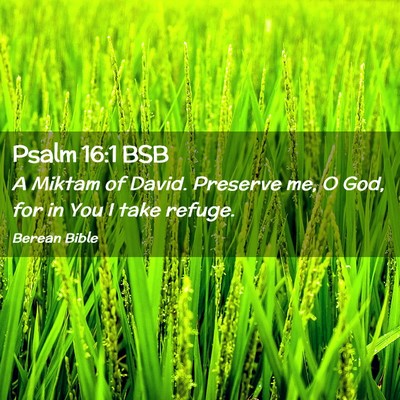 Picture 02 - Psalm 16:1 BSB - A Miktam of David. Preserve me, O God, for in You - Bible Verse Picture