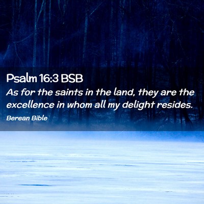 Picture 02 - Psalm 16:3 BSB - As for the saints in the land, they are the - Bible Verse Picture