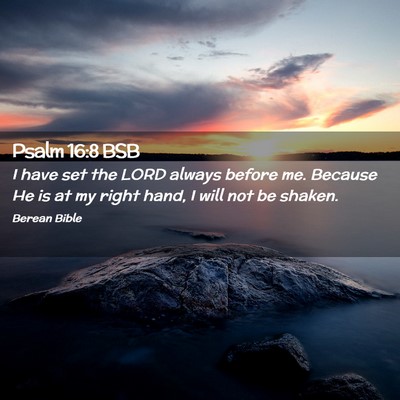 Picture 02 - Psalm 16:8 BSB - I have set the LORD always before me. Because He - Bible Verse Picture