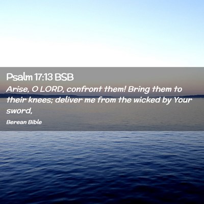 Picture 02 - Psalm 17:13 BSB - Arise, O LORD, confront them! Bring them to their - Bible Verse Picture