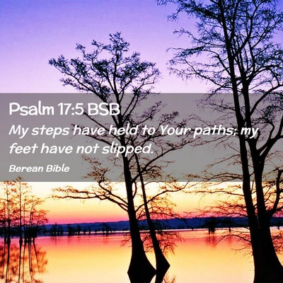 Picture 02 - Psalm 17:5 BSB - My steps have held to Your paths; my feet have - Bible Verse Picture