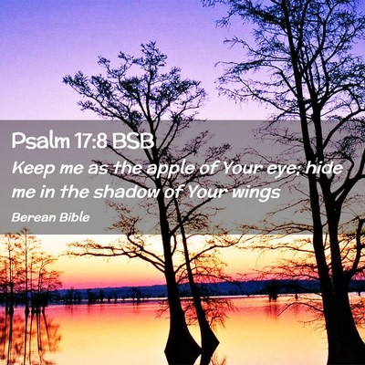 Picture 02 - Psalm 17:8 BSB - Keep me as the apple of Your eye; hide me in the - Bible Verse Picture