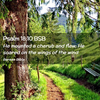 Picture 02 - Psalm 18:10 BSB - He mounted a cherub and flew; He soared on the - Bible Verse Picture